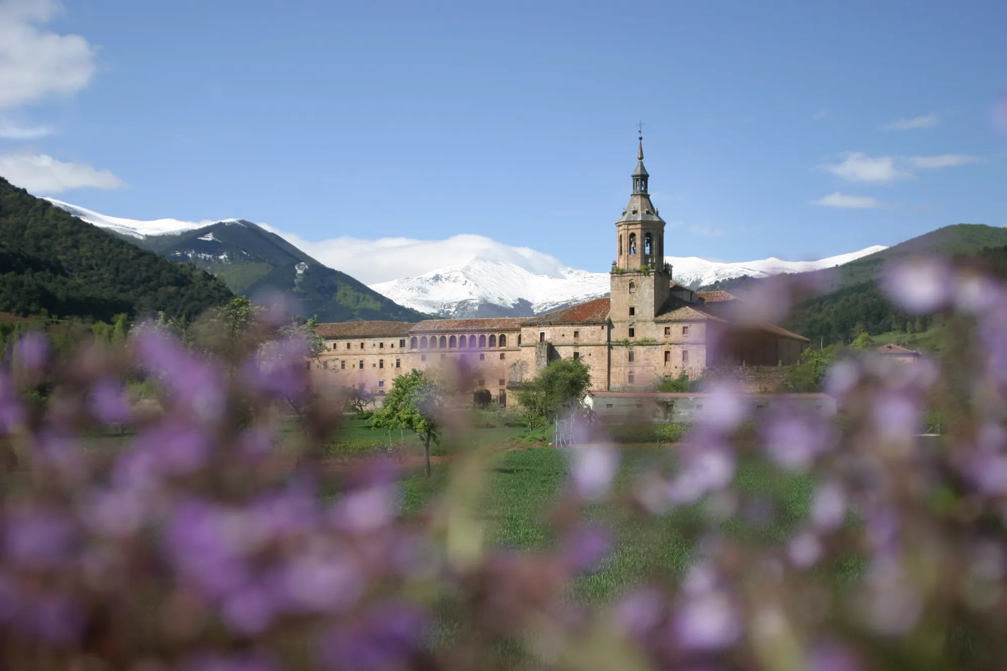 Historic building with a clock tower in a mountainous landscape with purple flowers in the foreground in Rioja, Spain.